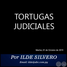TORTUGAS JUDICIALES -  Por ILDE SILVERO - Martes, 01 de Octubre de 2019
